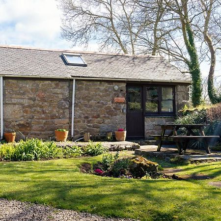 Cosy Cottage In The Beautiful Lamorna Valley - Walk To The Pub & Sea Paul Dış mekan fotoğraf