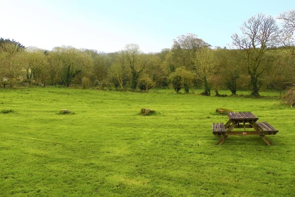 Cosy Cottage In The Beautiful Lamorna Valley - Walk To The Pub & Sea Paul Dış mekan fotoğraf